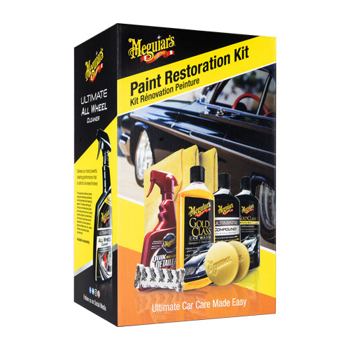 Brilliant Solutions Paint Restoration Kit